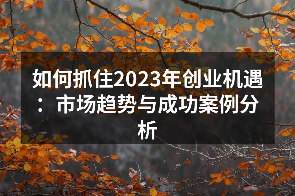 如何抓住2023年创业机遇：市场趋势与成功案例分析